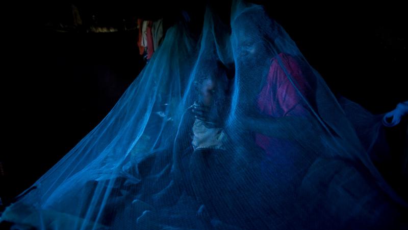 bed net bribary